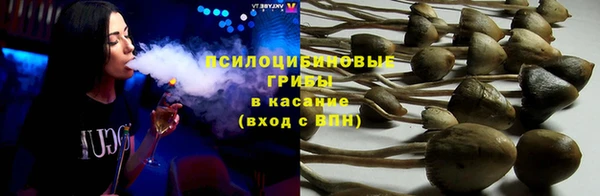spice Абинск