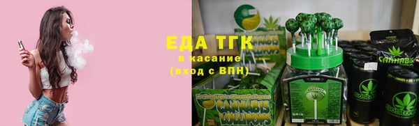 тгк Абаза