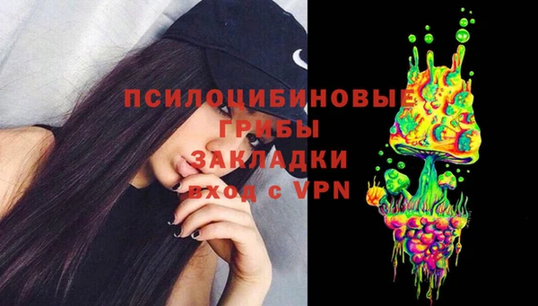 тгк Абаза