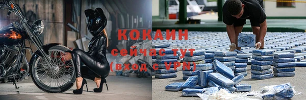 тгк Абаза