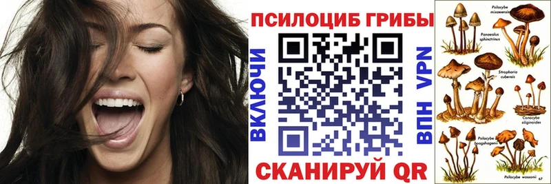 где купить наркоту  Зарайск  Галлюциногенные грибы Magic Shrooms 